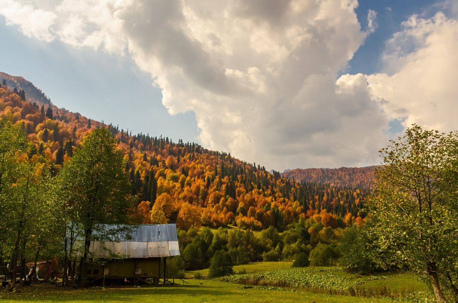 nevant60, пейзаж, красота, природа, Александр Березуцкий