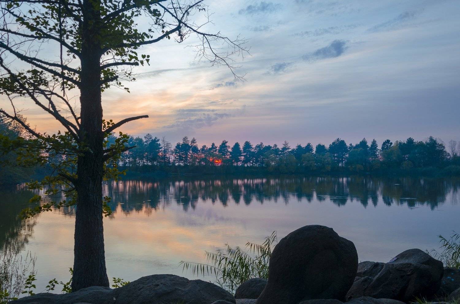 , Алексей Рыльский