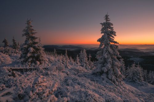 A Winter Wonderland