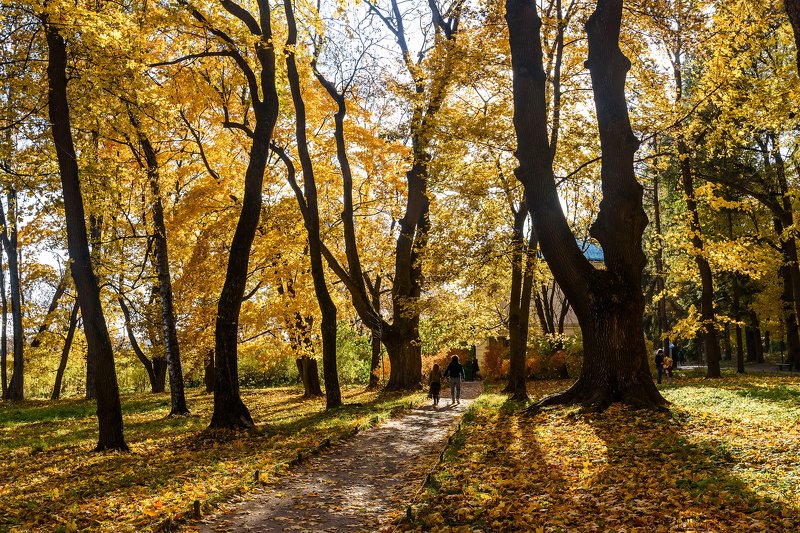 Прогулка по Ясной Поляне фото превью