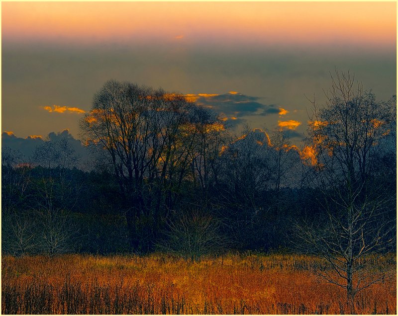 Лес у Гауи. фото превью