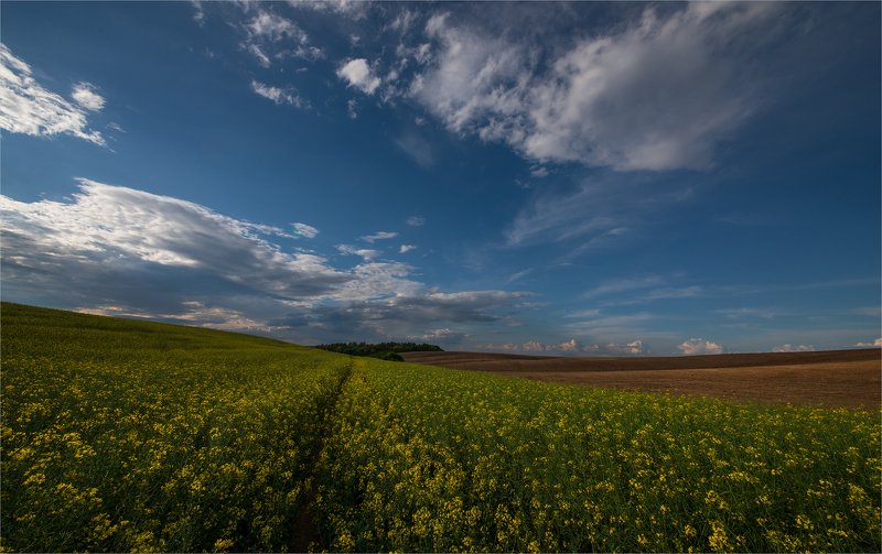 весенние грозы... фото превью