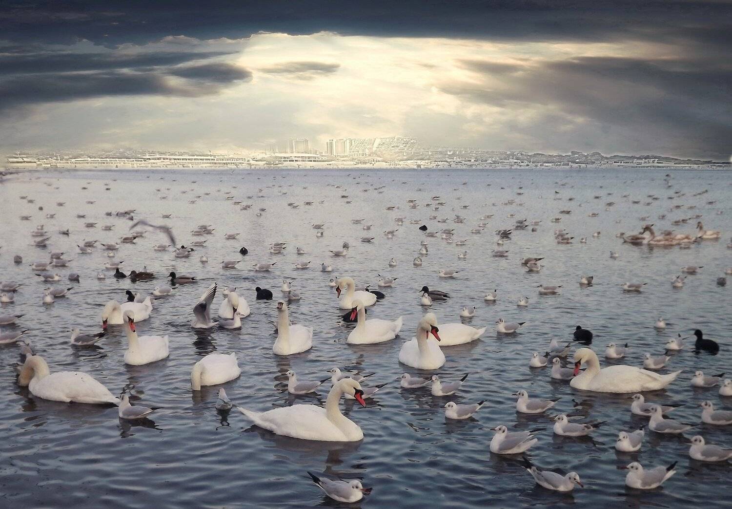 одесса, Сергей Кошелев