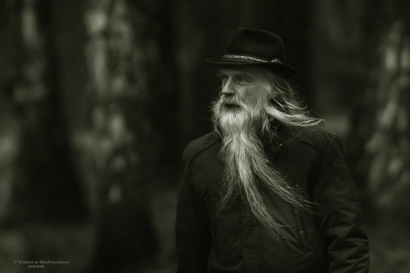 Зима идет... фото превью