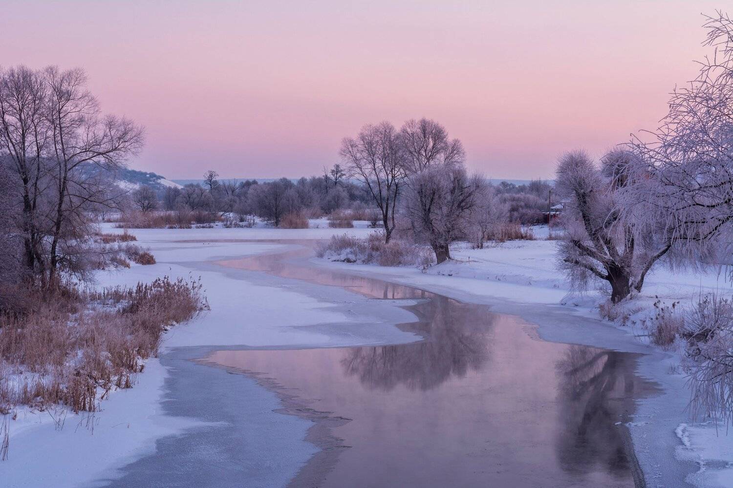 , Александр Литвишко