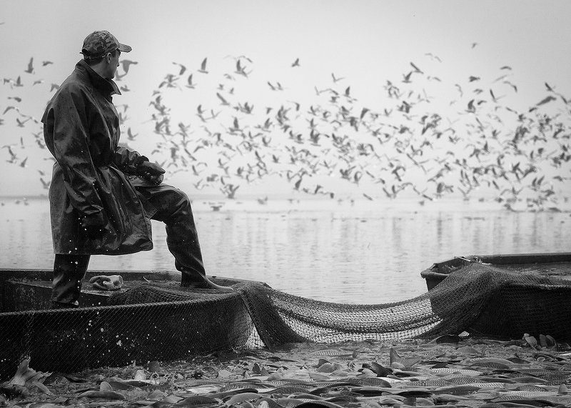 Из улова фото превью