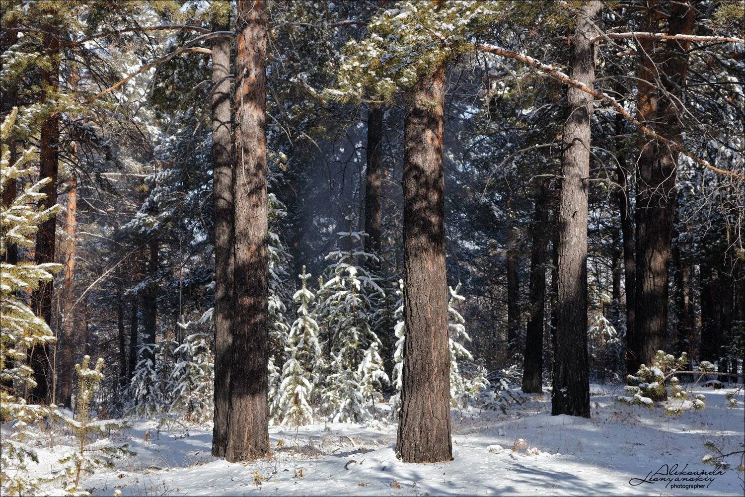 забайкальский край, Александр Леснянский