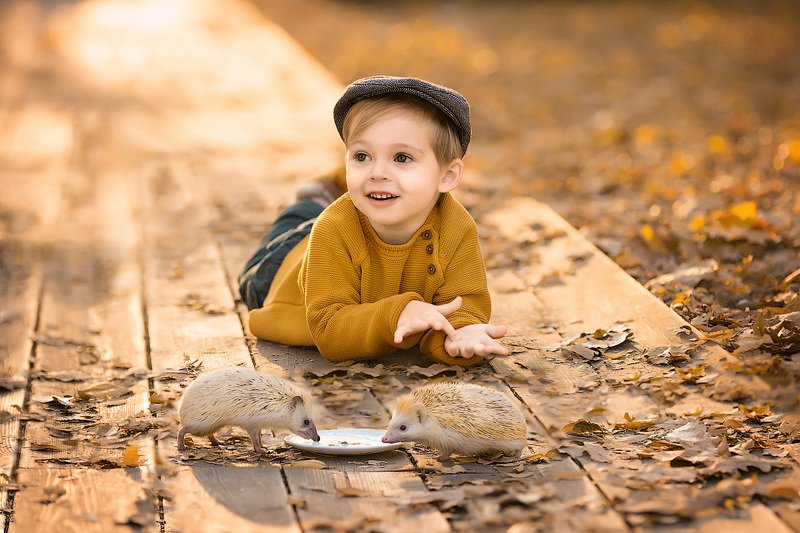 фотограф, зеркальный фотоаппарат canon mark iii, фотопрогулка, осень, малыш, ребенок, мальчик, детская фотосессия, детский фотограф, счастье, радость, дети на фото, детская фотография, любовь, ежики, закат, красота, восторг ***** фото превью