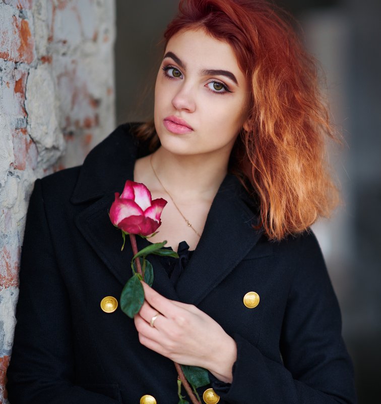 Rose фото превью