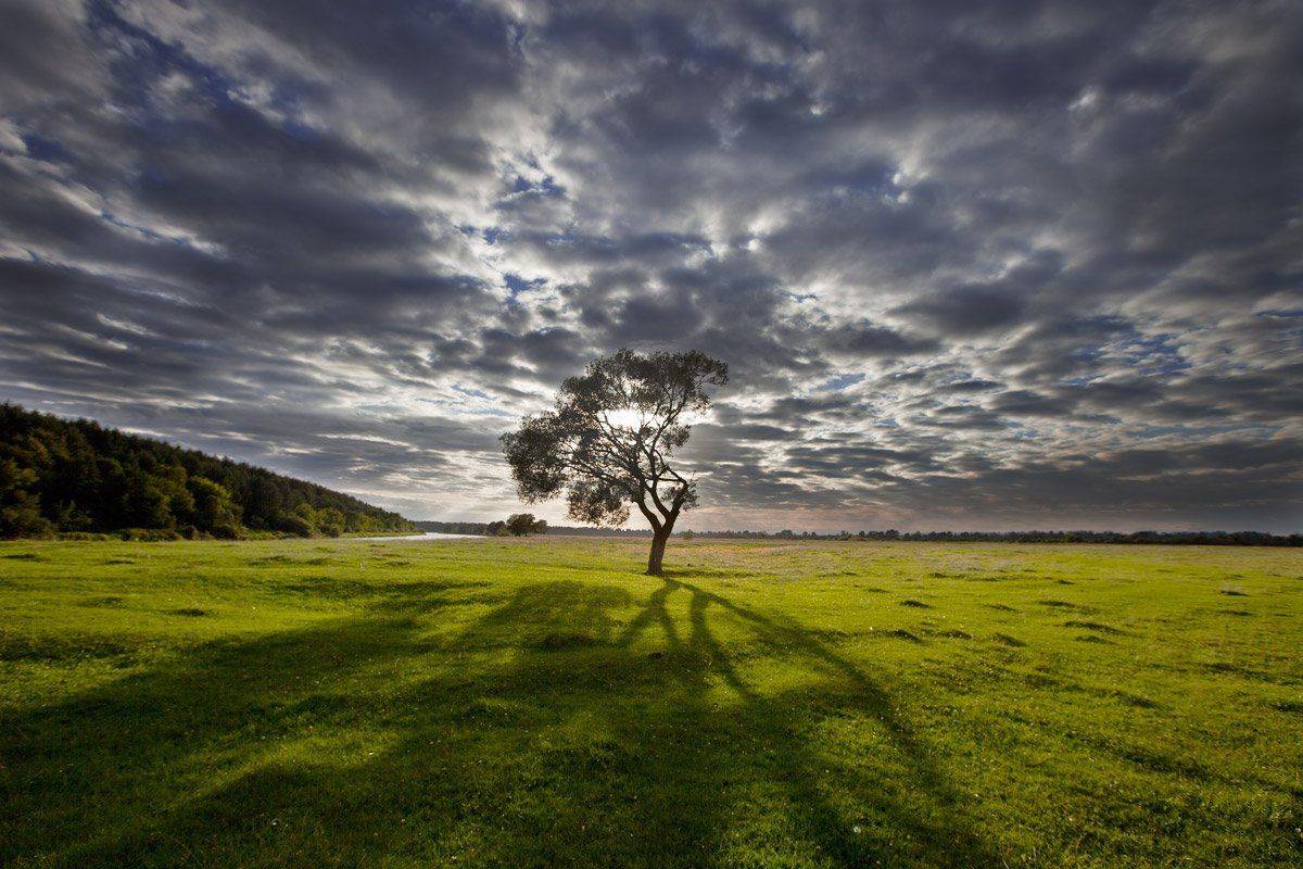 , Валерий Кондратов