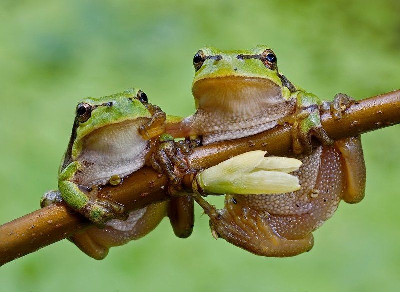 zawsze razem... фото превью