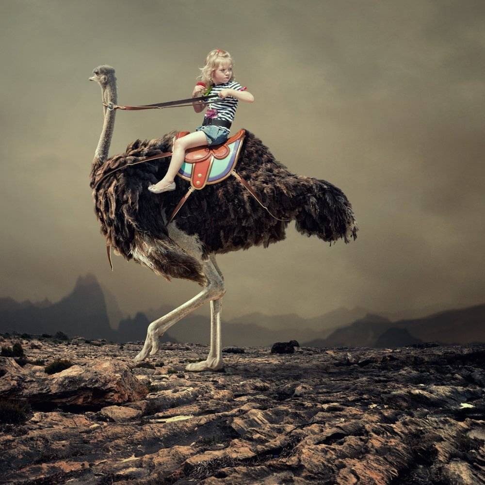 , Caras Ionut