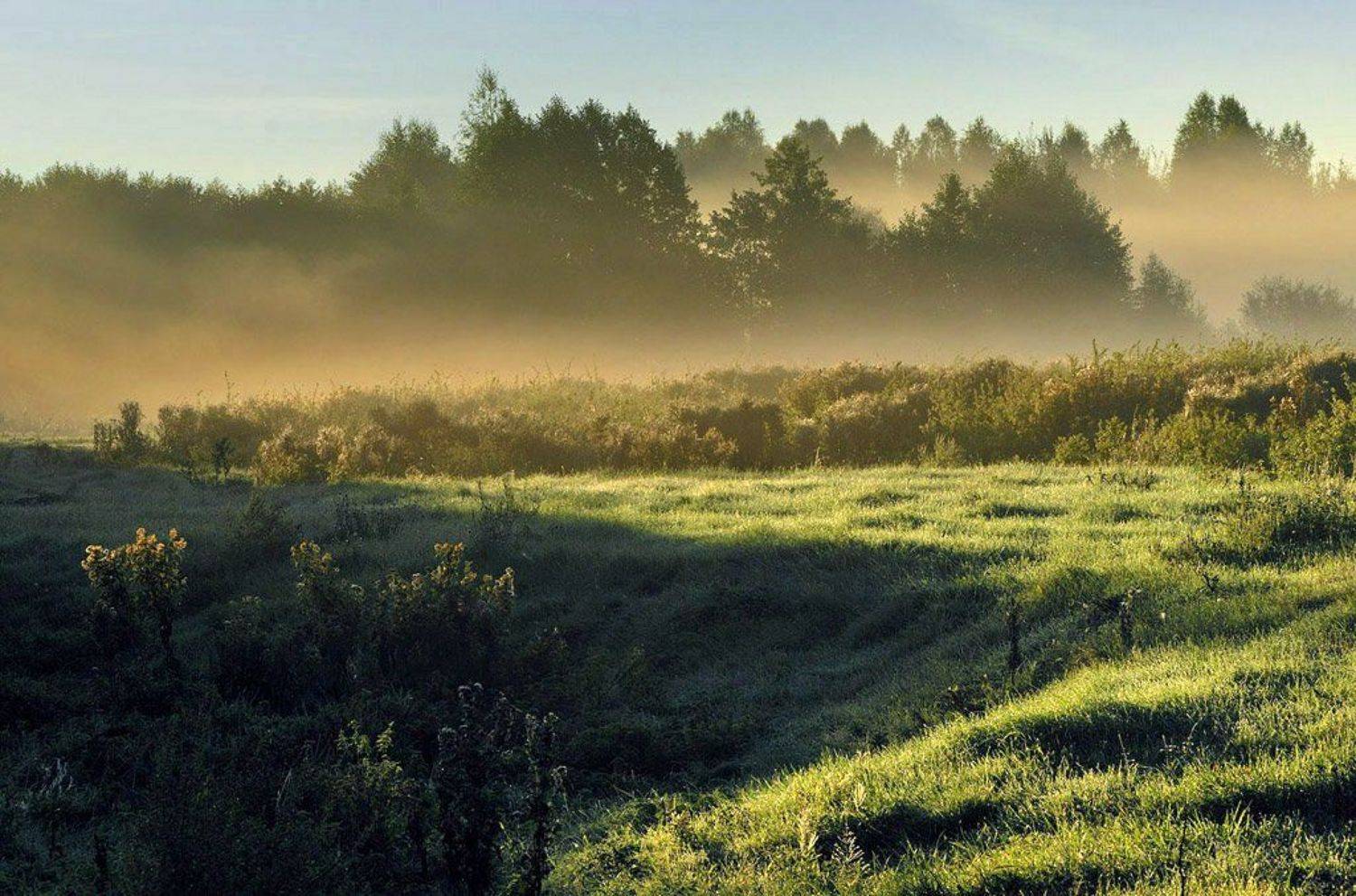 , Александр