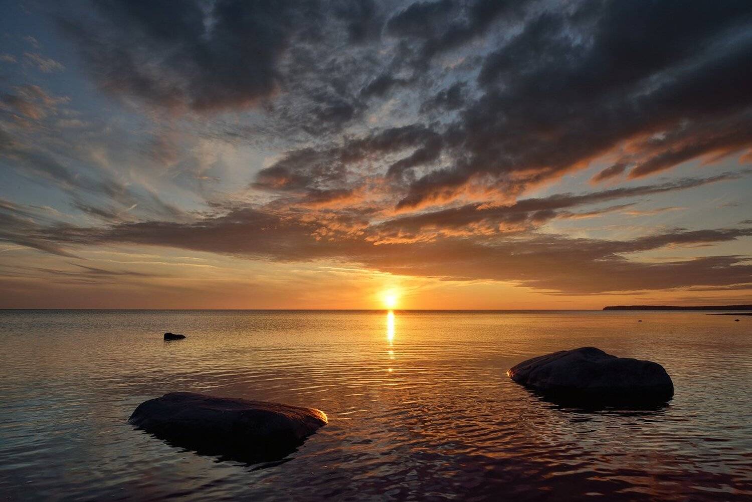 , Максим Евдокимов