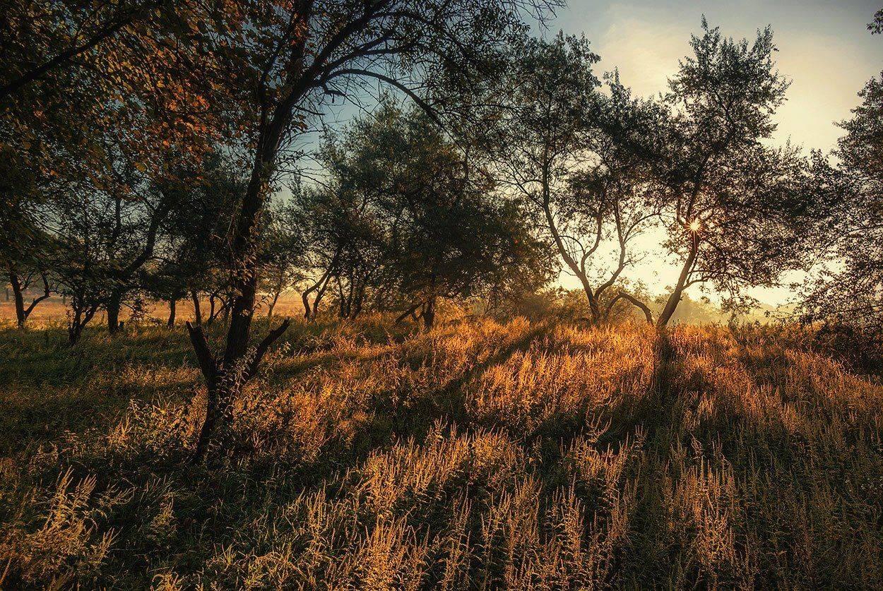 , Игорь Мелекесцев