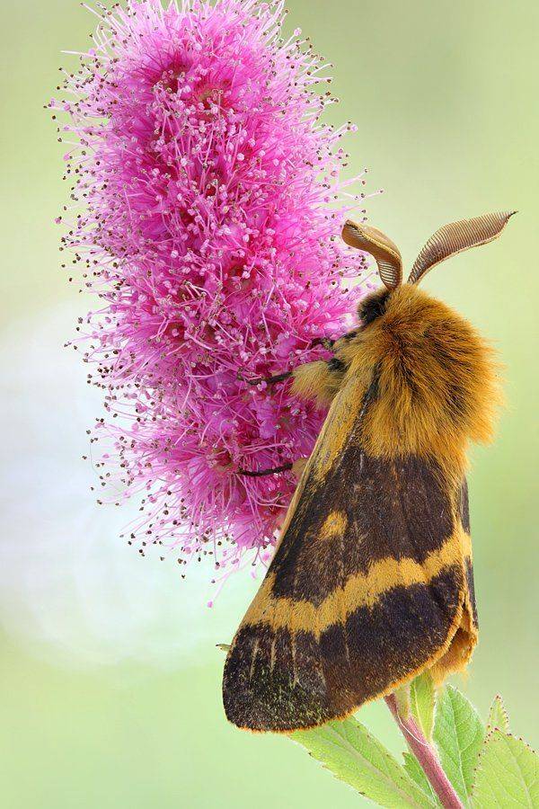 , Сергей Таланов