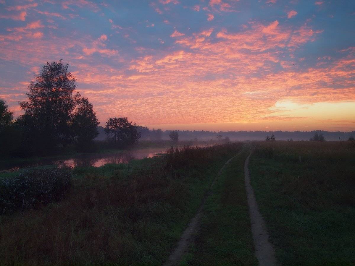 , Владимир Перепечаев