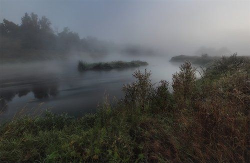 предрассветная пора