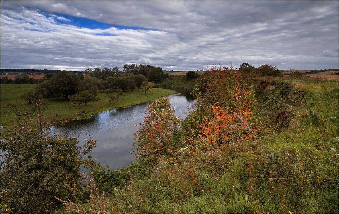 , Николай Шахманцир