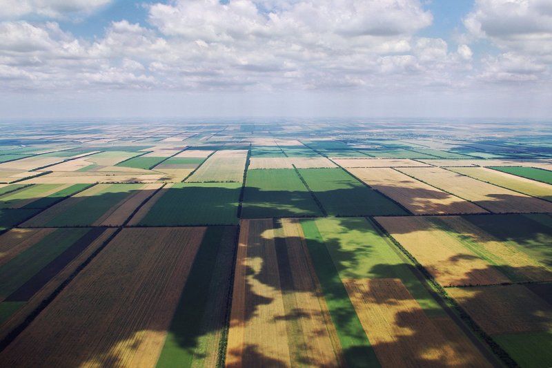 поля, тени, небо, полет В тенистый полдень фото превью