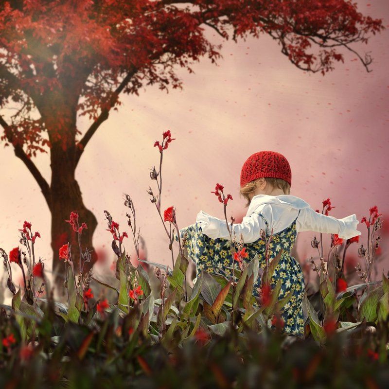 Sigh of the red beauty фото превью