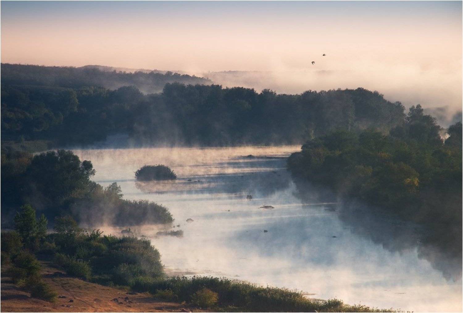 , Денис Кривой