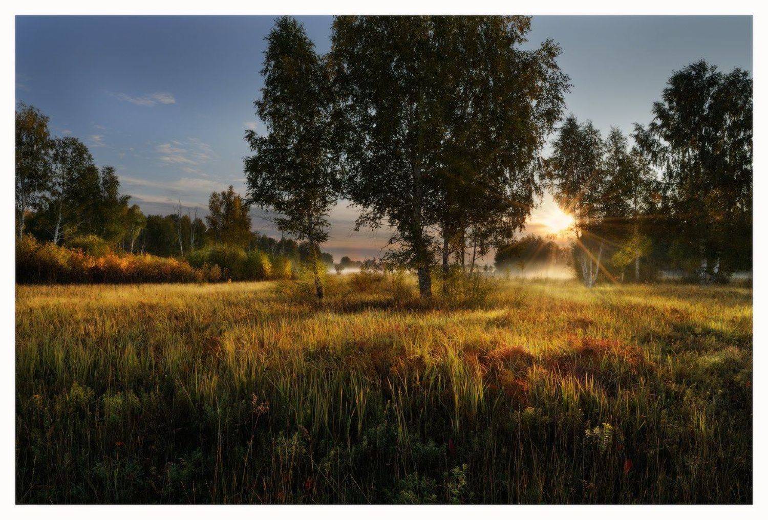 , Евгений Мартов