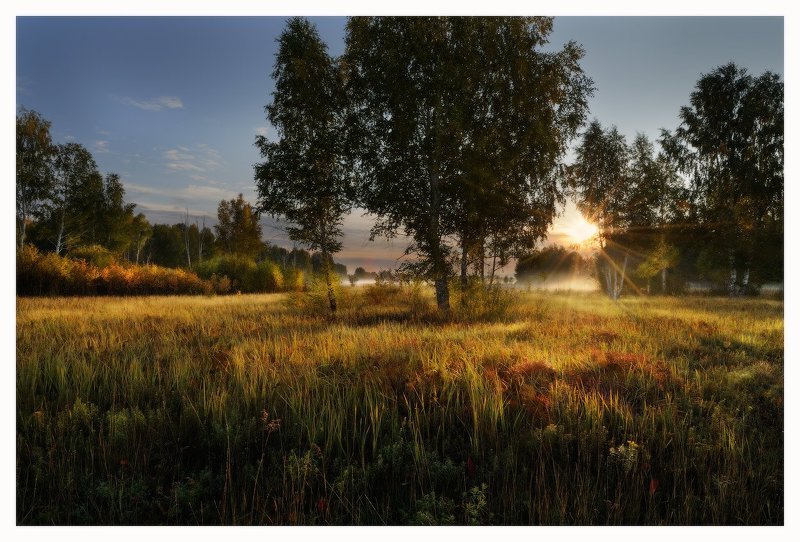 УТРОМ НА ОПУШКЕ фото превью