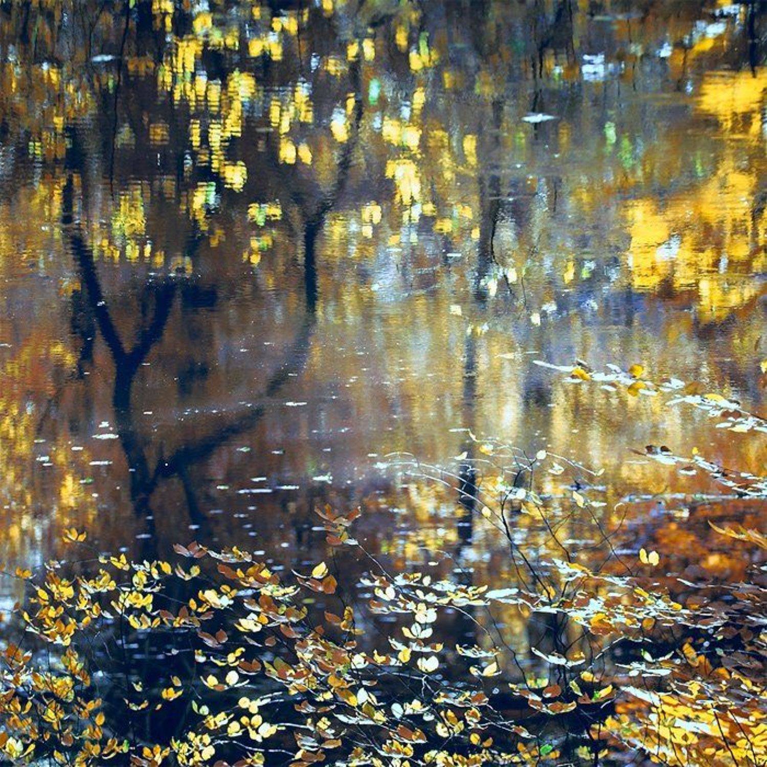 живопись, импрессионизм, картина, краски, листва, листья, масло, осенняя листва, осень, отражение, река, Leonidchenko Sergey