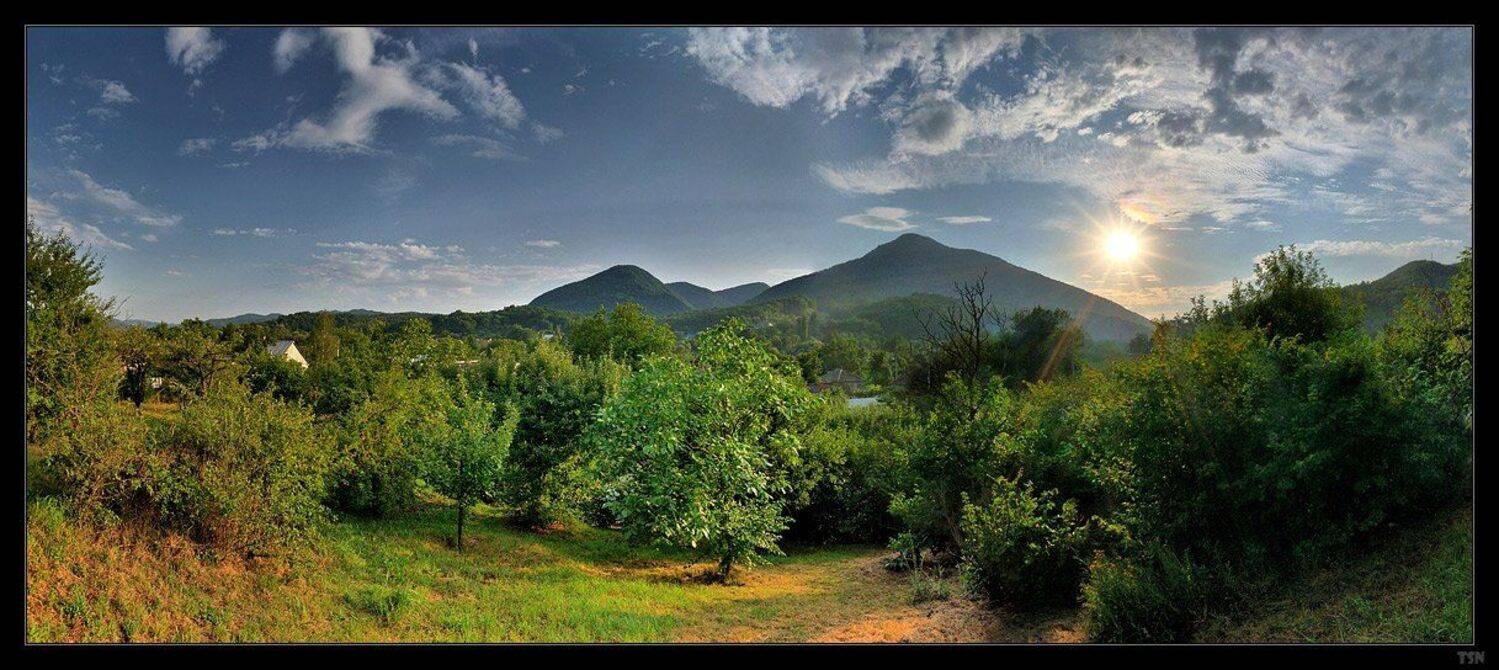 , Сергей Требунских