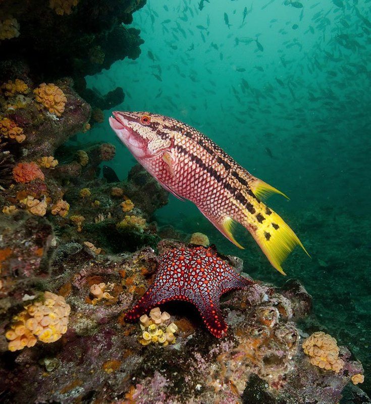 underwater Все построились фото превью