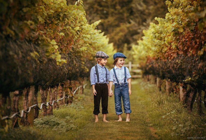 Winegrowers фото превью