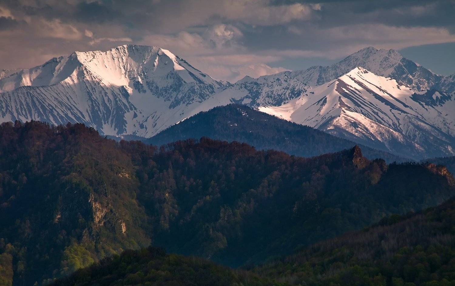 , Ирина Заграничная