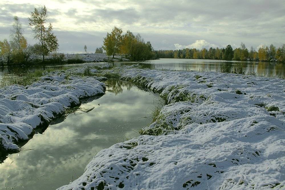 , Николай Морский