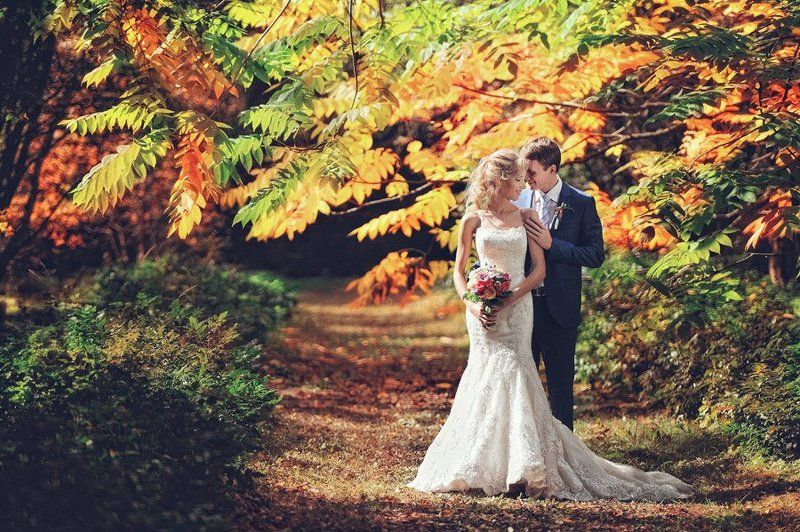 Wedding фото превью