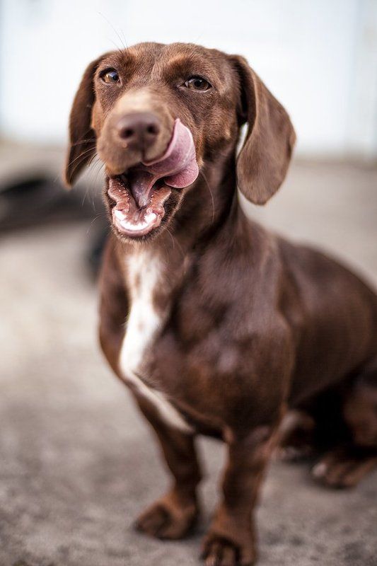 * * * фото превью