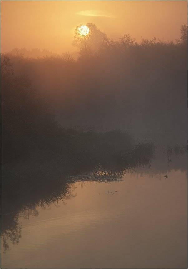 , Николай Шахманцир