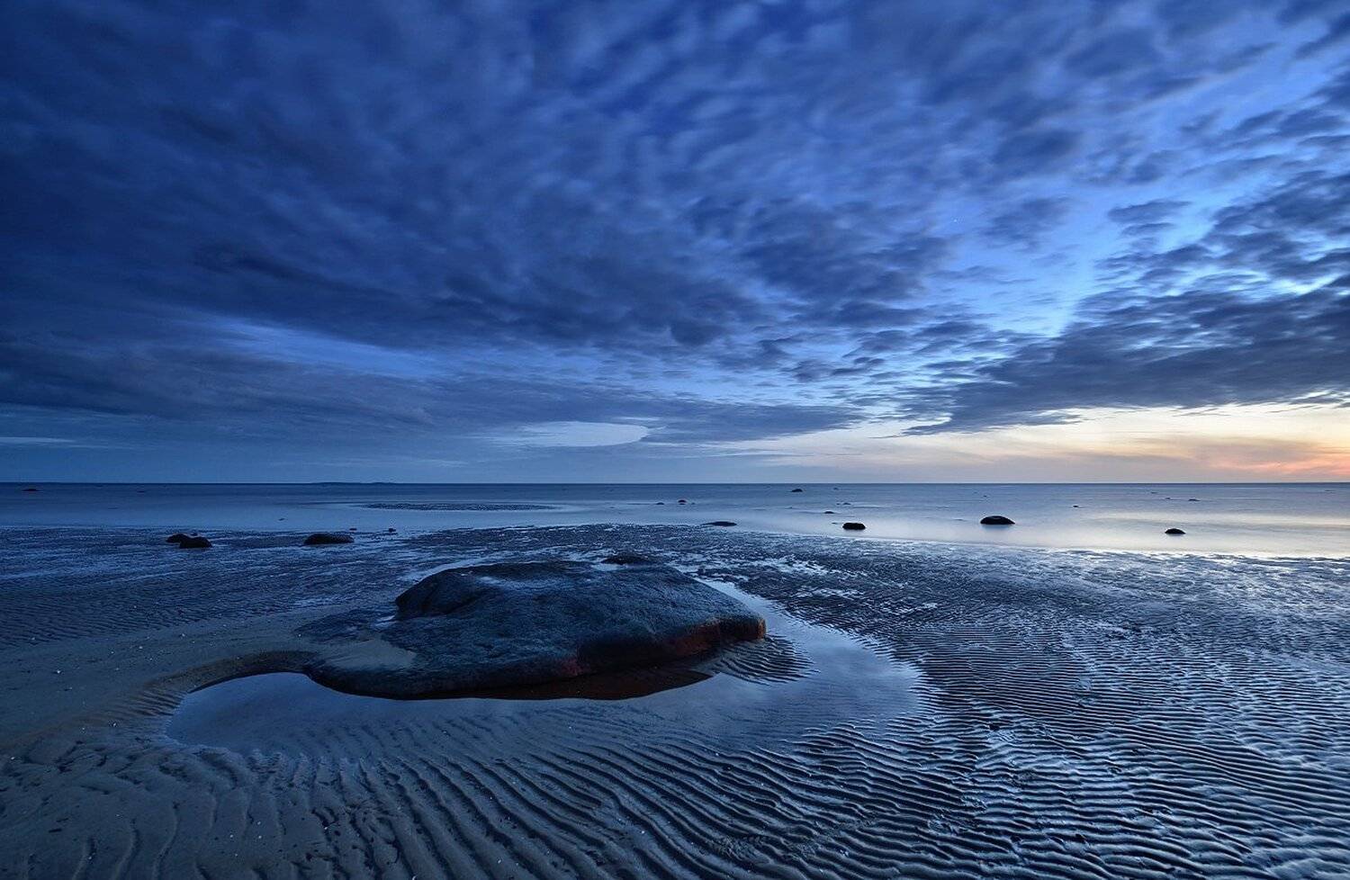 , Максим Евдокимов