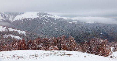 Осеннее настроение