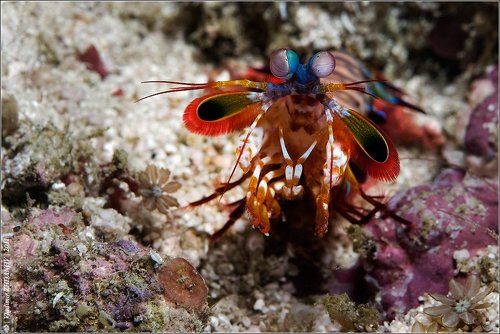 - Проблемы?!..