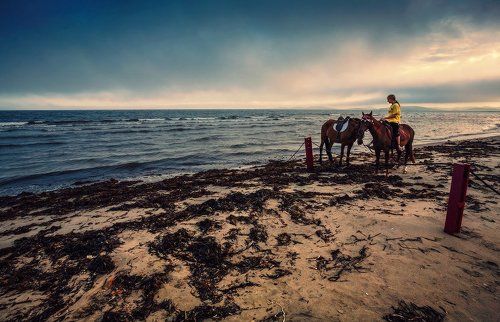 На прогулке...