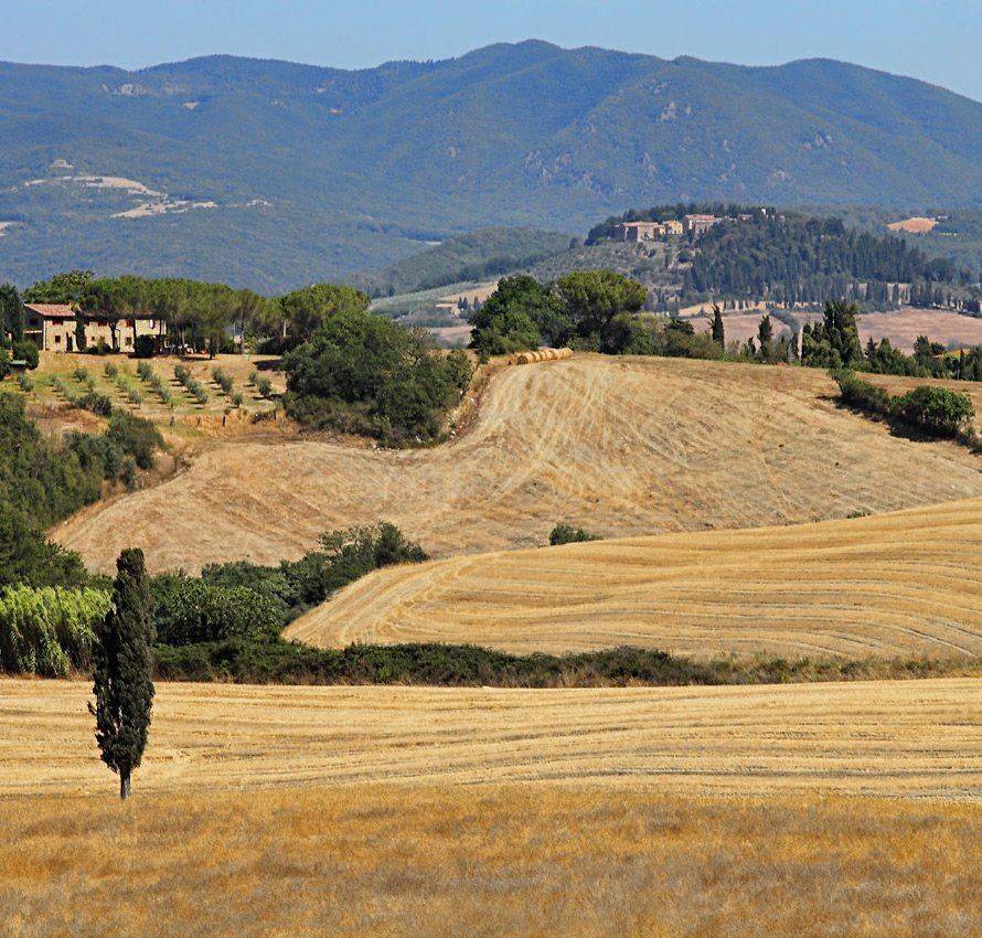 италия, тоскана, Игорь Дубровский