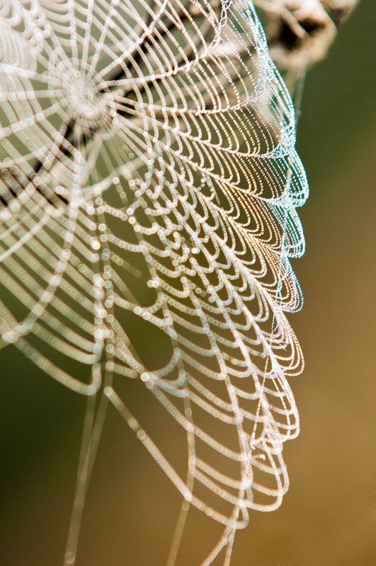 Бабье лето фото превью