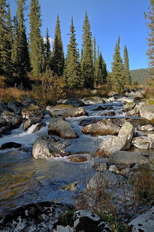 В поисках красивых камешков. фото превью