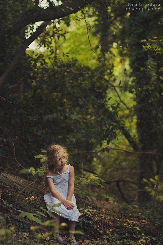 Mystical forest фото превью