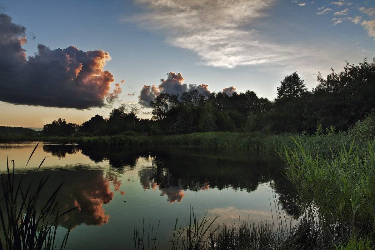 купавинские, озёра, Андрей Леонидович