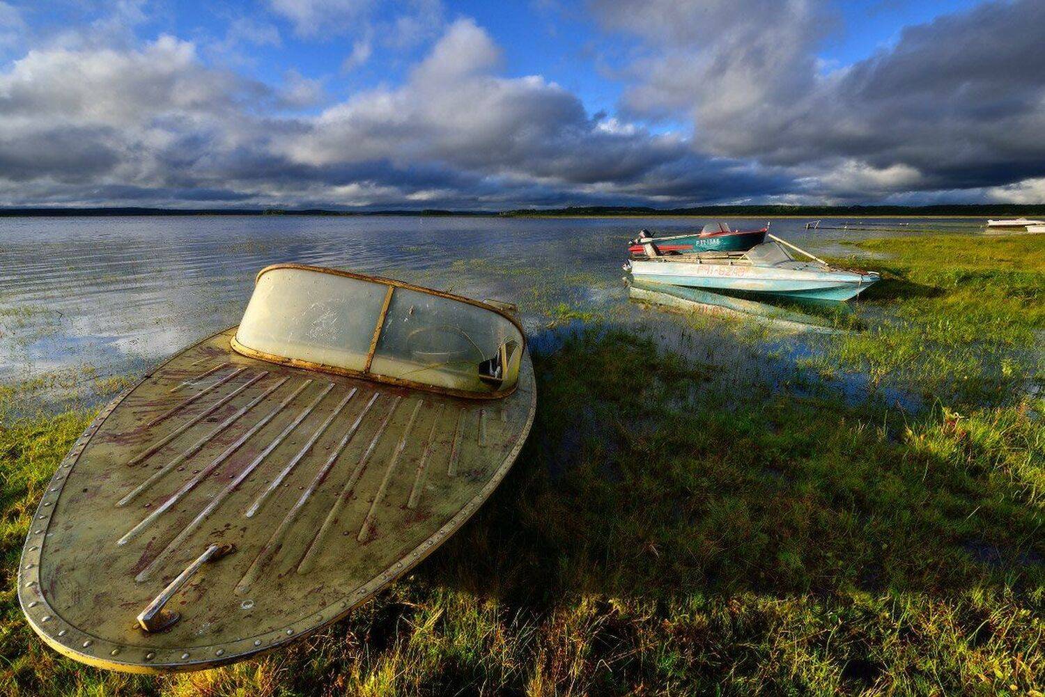 , Максим Евдокимов