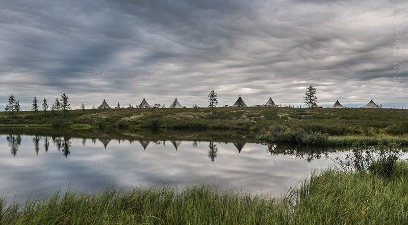север, путешествия,  жизнь на краю земли, чумы, ненец, мальчик, репортаж \