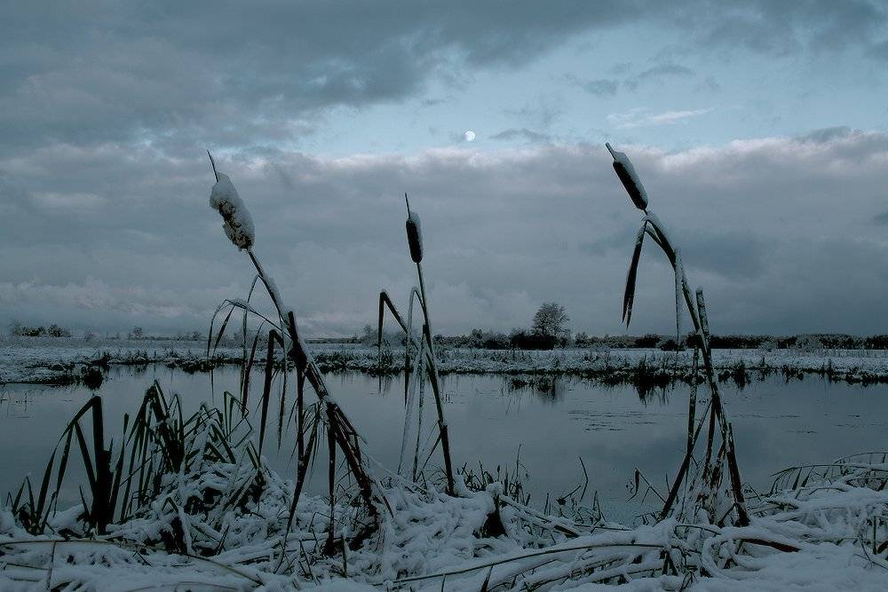 , Николай Морский