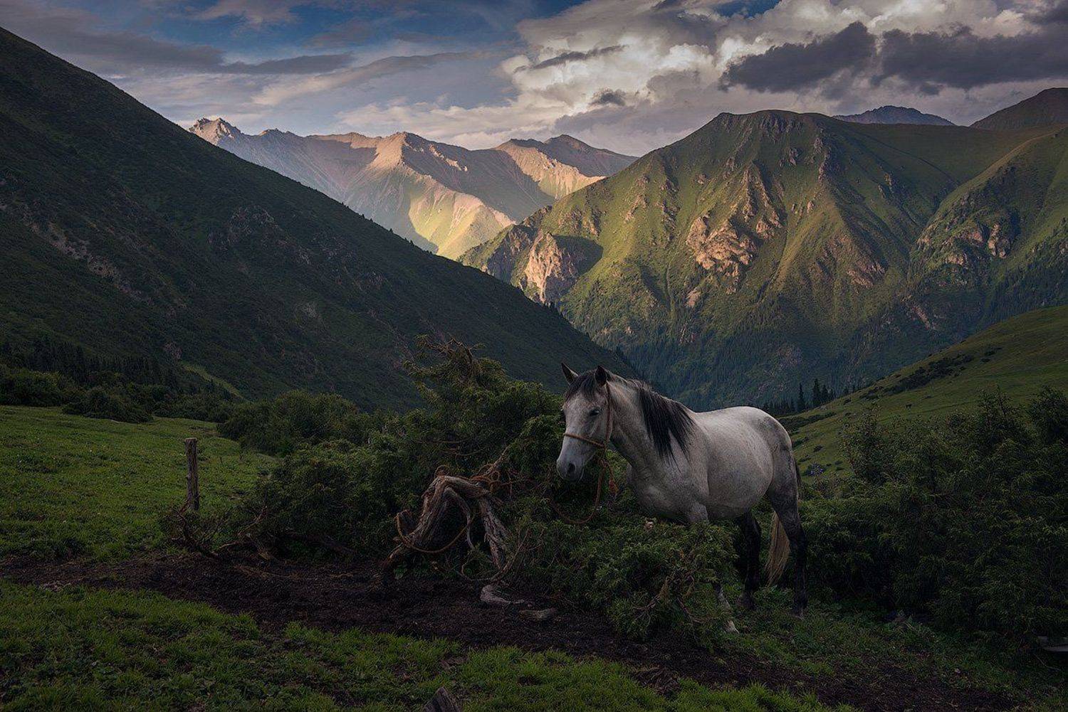 киргизия, тянь-шань, терскей, Коржонов Даниил